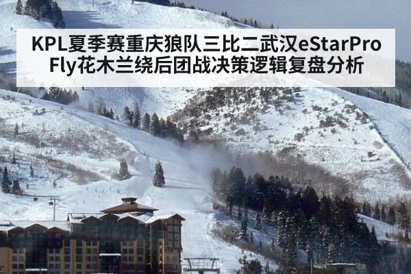KPL夏季赛重庆狼队三比二武汉eStarPro Fly花木兰绕后团战决策逻辑复盘分析