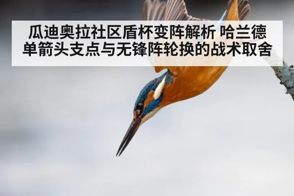 瓜迪奥拉社区盾杯变阵解析 哈兰德单箭头支点与无锋阵轮换的战术取舍